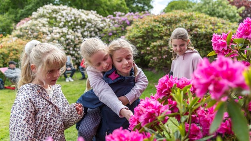 Young visitors enjoy Seaton Delaval Hall's spring rhododendrons